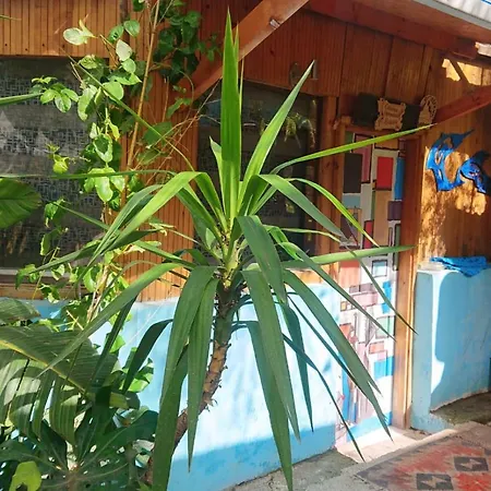 Bungalow Hotel