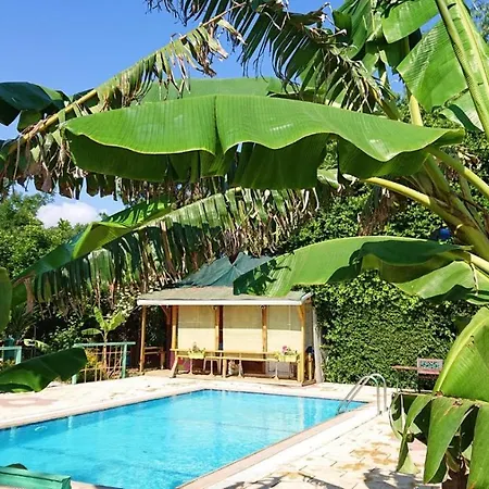 Hotel Bungalow