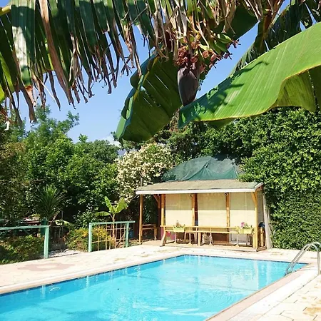 Hotel Bungalow Elea