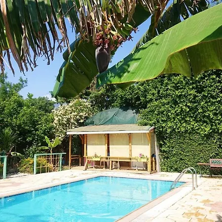 Bungalow Hotel Elea