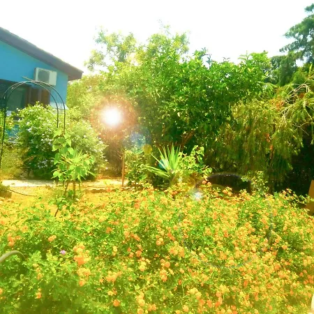 Bungalow Hotel 3*