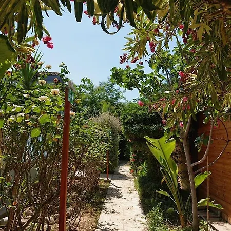 Bungalow 3* Elea