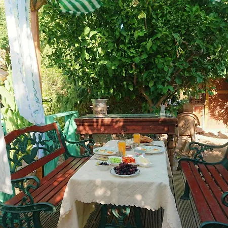 Bungalow 3*