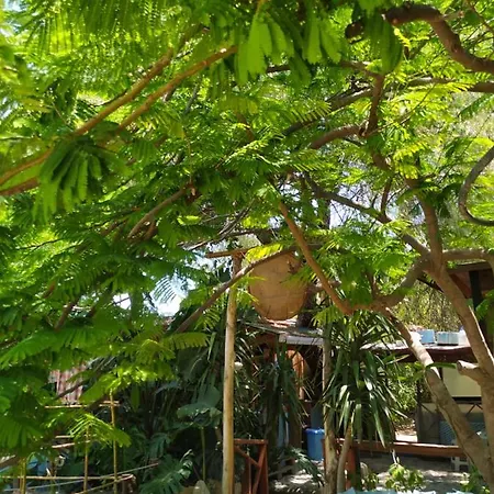 Szálloda Bungalow 3*