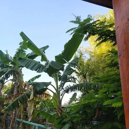 Bungalow