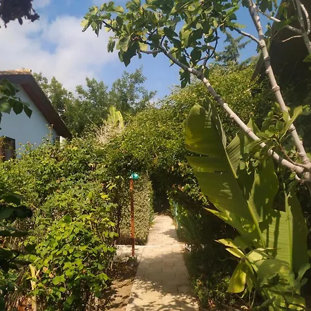 Bungalow Vendégház 3*