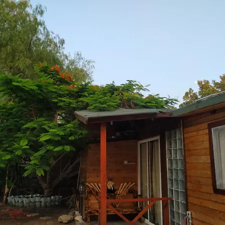 Bungalow