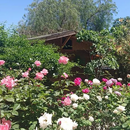 Bungalow Elea